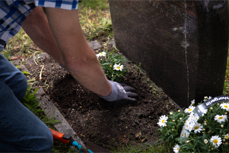 En person planter blomster ved en gravstein, iført hansker og rutete skjorte. Jord og blomster er synlige rundt graven. Foto.